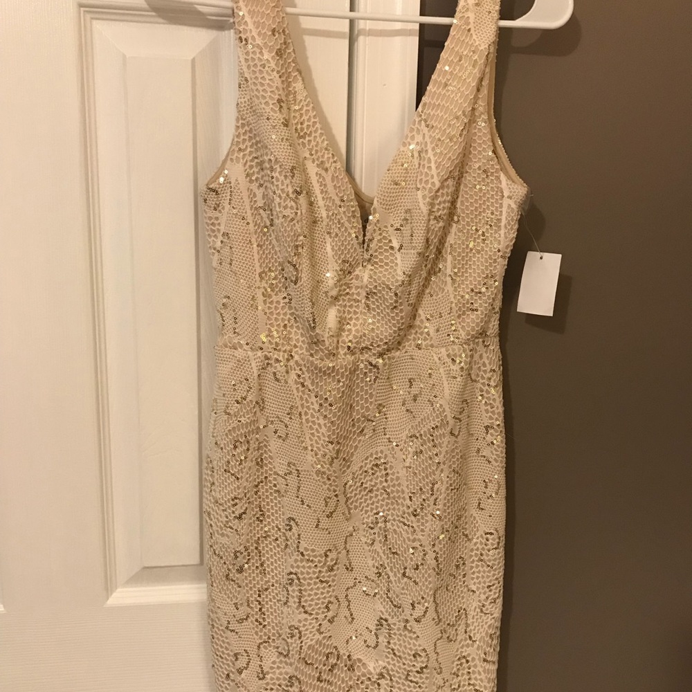 Cream Lace sequin dress